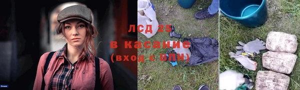 амф Арсеньев