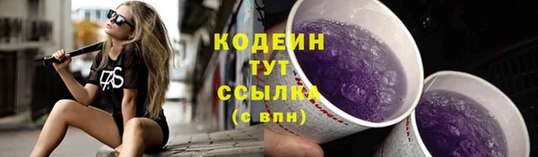 амф Арсеньев