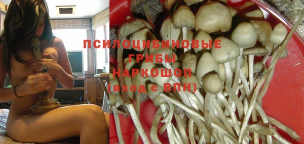 амф Арсеньев