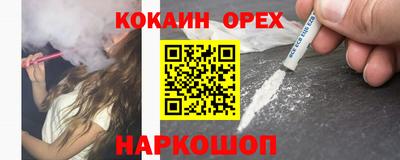 гидра Дубна