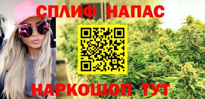 мдпв Донской