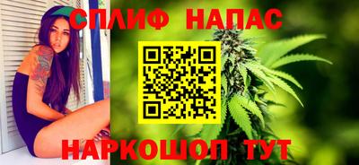 гидра Дубна