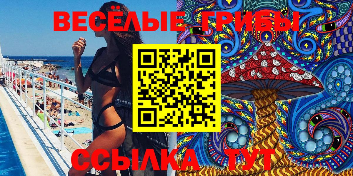 магазин    Галлюциногенные грибы Cubensis  Вход с VPN  Нарткала 